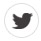 Follow Us on Twitter